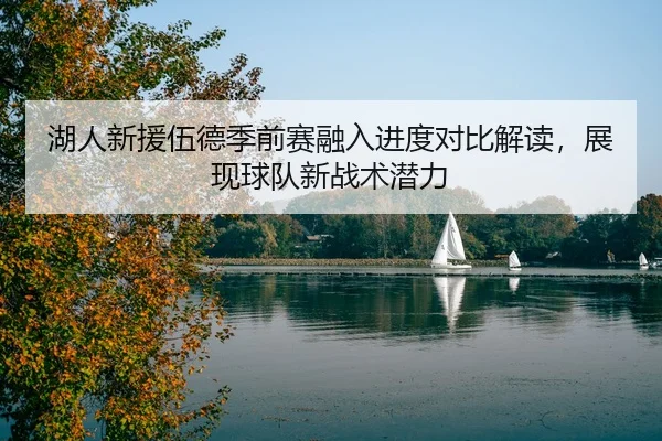 湖人新援伍德季前赛融入进度对比解读，展现球队新战术潜力