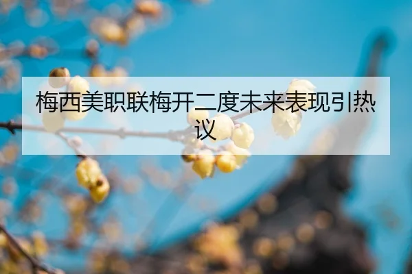 mei-xi-mei-zhi-lian-mei-kai-er-du-wei-lai-biao-xian-yin-re-yi-2-361.jpg